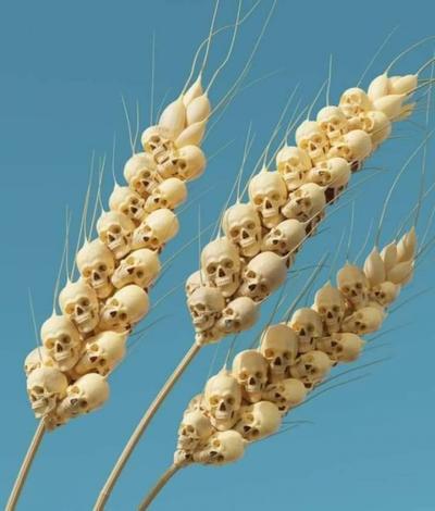Global Crisis Worsens: Is Famine on the Horizon?