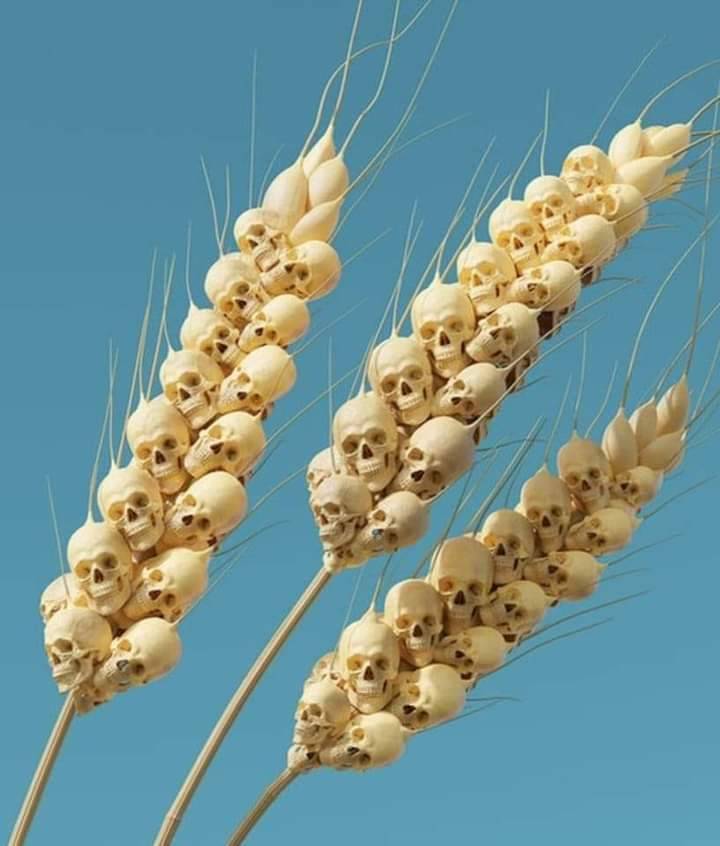 Global Crisis Worsens: Is Famine on the Horizon?