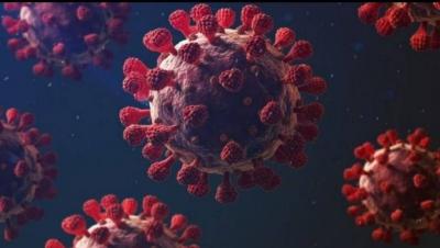 Does Coronavirus Change Gut Bacteria and Affect Disease Severity?