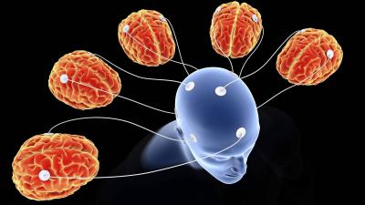 # Biology of Telepathy: Communication from Brain to Brain