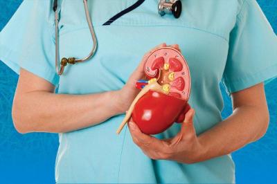 The Best Ways to Naturally Manage Kidney Stones