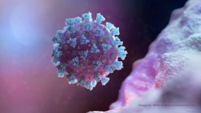 Scientists Discover a Viral Antiviral for COVID-19 Patients