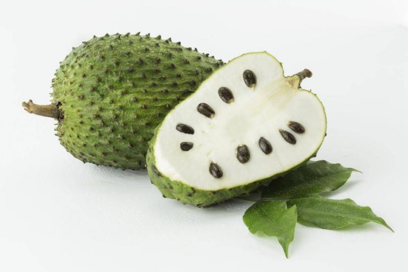 The Health Benefits of Soursop