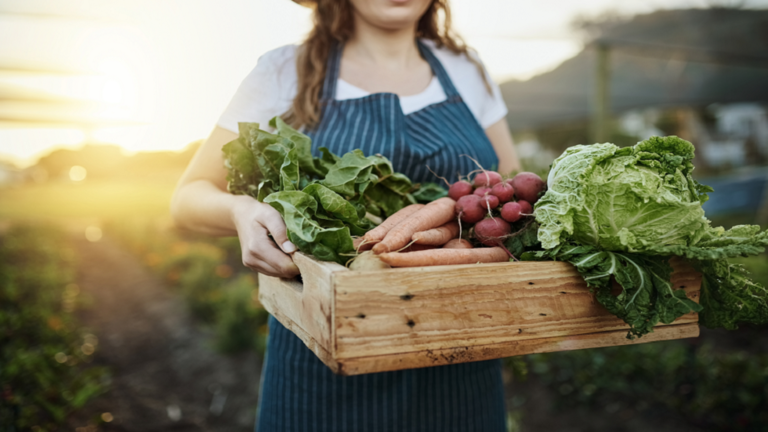 How Harmful Are Your Favorite Foods to the Environment?