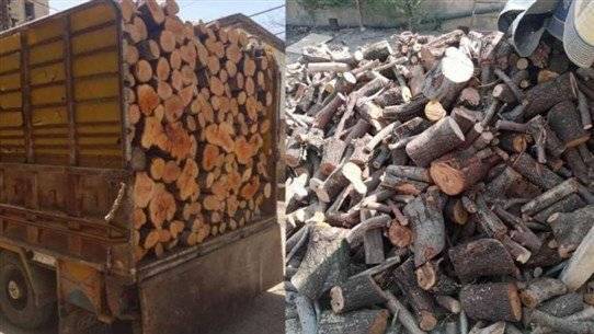 Preparations for Winter and Increased Demand for Firewood to Avoid Diesel Fuel