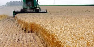UN Warning of Catastrophic Consequences of the Ukrainian Crisis on Africa