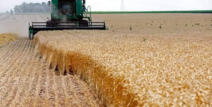 UN Warning of Catastrophic Consequences of the Ukrainian Crisis on Africa