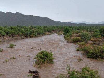 Tragic Flood Incident in Saudi Arabia Claims Lives of Father and Daughter