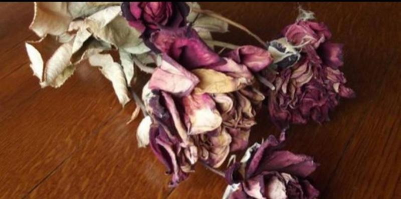 Methods for Drying Flowers and Preserving Their Beauty
