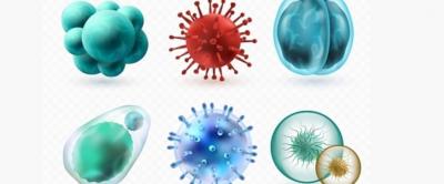 Researchers Discover How Viruses Make Themselves Highly Infectious