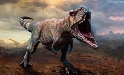 # Dinosaur Tracks in Lebanon