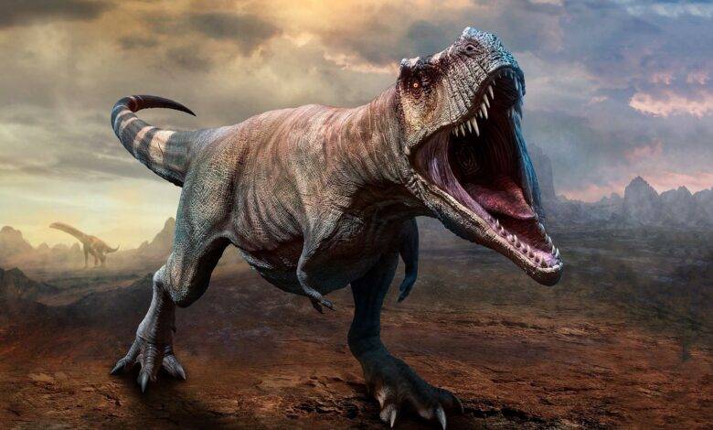# Dinosaur Tracks in Lebanon