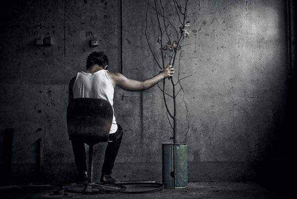 Men with Fragile Masculinity More Prone to Aggressive Behavior