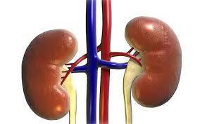 Early Warning System for Kidney Patients