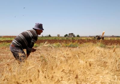 The Ukraine Crisis and the Moscow-West Conflict: Eyes on Gas, Oil, and Wheat