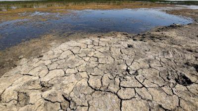 # Drought Strangles Iraq: Turkish and Iranian Dams Make It Worse