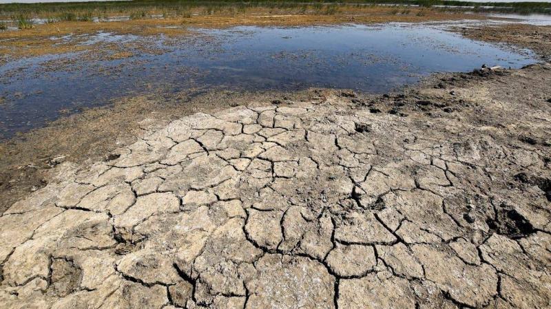 # Drought Strangles Iraq: Turkish and Iranian Dams Make It Worse
