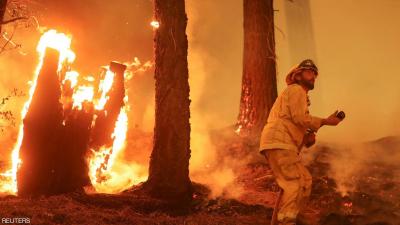Wildfires Worldwide: The Mediterranean Basin Ignites Amid Severe Heat Wave