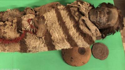 Lice in Mummies' Heads Unveils Unexpected Secrets