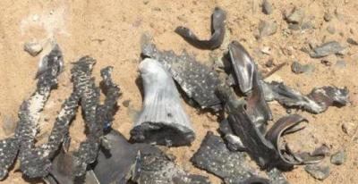 Houthi Terrorism Against the UAE and Saudi Arabia: "Desperate Tactic"