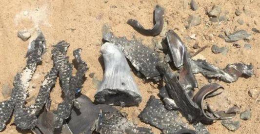 Houthi Terrorism Against the UAE and Saudi Arabia: 