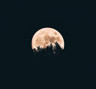 Lebanon Continues Its Descent into the Abyss: Complete Darkness is Very Near