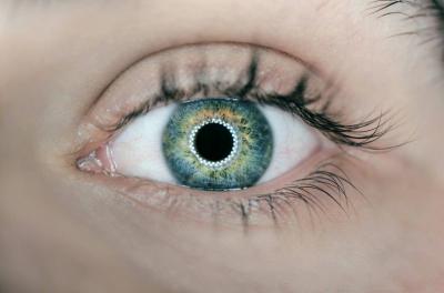 Development of "Electronic Eyes" Provides Hope for Millions to Restore Vision