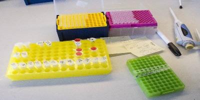 Can "CRISPR" Experiments End Human Pain?