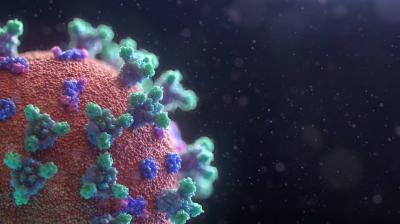 New COVID Variant in South Africa Mutates Twice as Fast