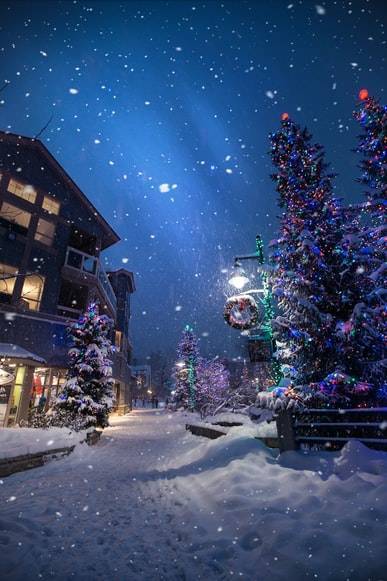 Omicron Devastates Europe and Stifles Christmas Celebrations