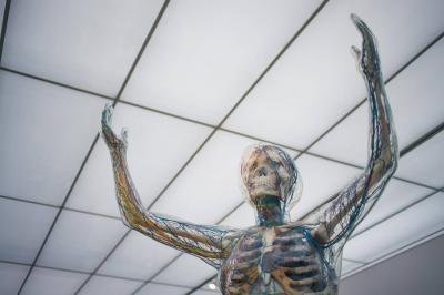 Little-Known Parts of the Human Body