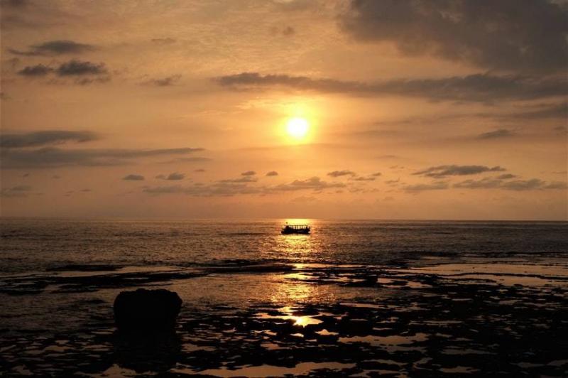 I Threw My Child into the Sea: Lebanese People Trying to Escape Amid Heartbreaking Tragedies