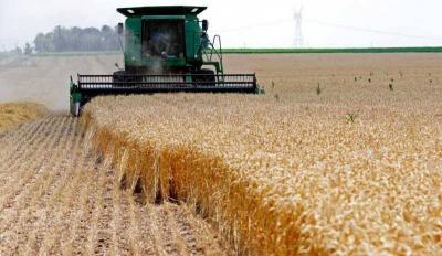 Breakthrough in Wheat Problem: 35,000 Tons from Ukraine and Russia to Lebanon