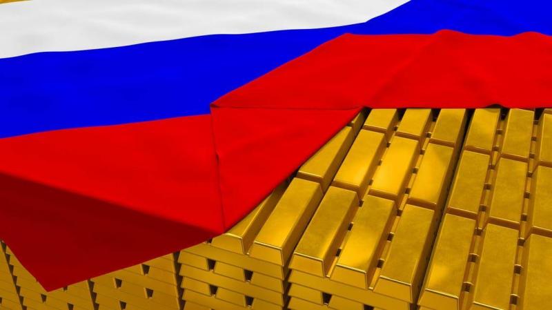 Shocking Details: Sanctions Render Russia's Foreign Currency Reserves Ineffective
