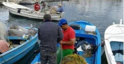 Lebanon: Fish Mortality Phenomenon Returns to Sidon Port
