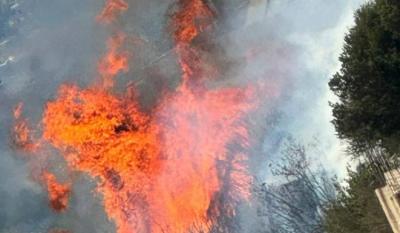 حريق كبير في جبل تربل والنيران تتمدّد بسرعة