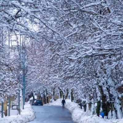 أمطار وعواصف ثلجية تضرب دولا في الشرق الأوسط