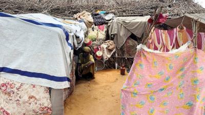 الأمم المتحدة: الوضع في السودان 