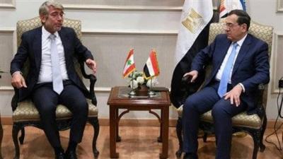 Title: Fiad in Egypt: What's New in the Electricity File?