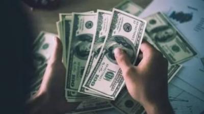 Surprise of the Dollar in the New Year