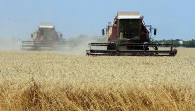 Jordan Tender: 100,000 Tons of Barley Feed