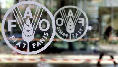 Title: FAO: $71 Million to Address Food Crisis in Yemen