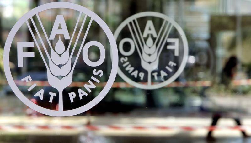 Title: FAO: $71 Million to Address Food Crisis in Yemen