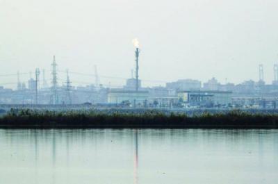 Predictions of a 50% Decrease in Egypt's Gas Revenues