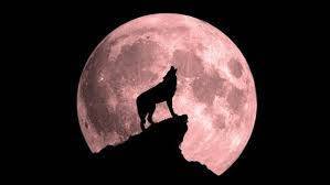 First Full Moon of 2023