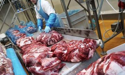 First Plant for Plant-Based Meat in Dubai