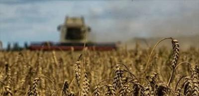 Will the United Nations Succeed in Saving the Grain Agreement?