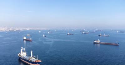 Russia Decides to Extend Black Sea Grain Agreement for 60 Days