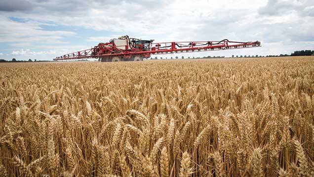 UN: No Approvals for New Ships to Carry Ukrainian Grain Exports