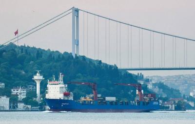 Title: Ship Traffic Halted in the Turkish Bosphorus